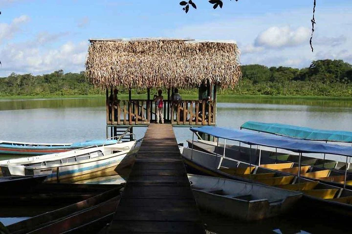 Tour por el Amazonas y el Yasuní: 5 días - 4 noches - imagen #6