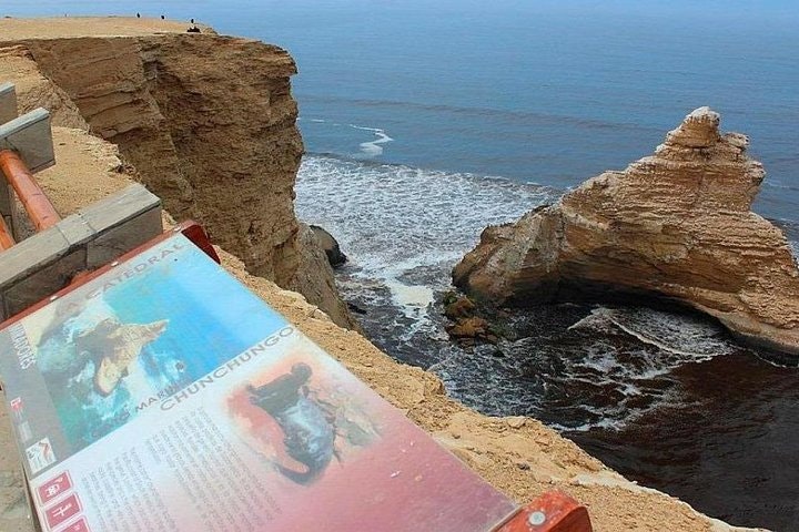 Paracas National Reserve Half Day Tour - imagen #6