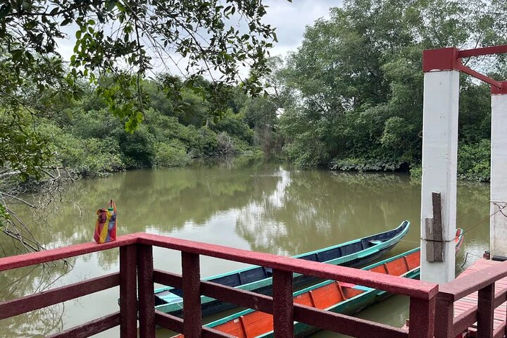 Churute Mangrove Ecological Reserve and Cocoa Farm - imagen #14