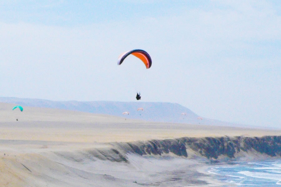 Par-07 : Paragliding Adventure - Soaring Over Paracas Reserve - imagen #3