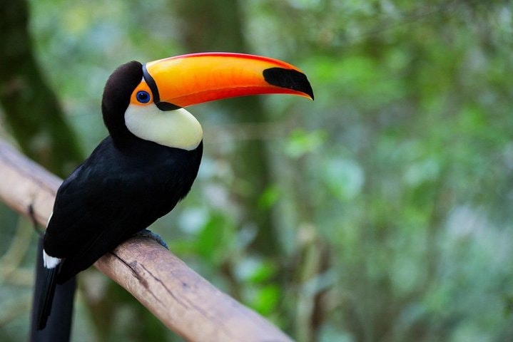 12-Day Trip Argentina & Brazil - imagen #5