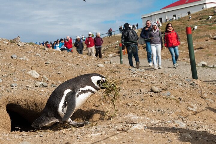 13-Day Tour Chile from North to South - imagen #21