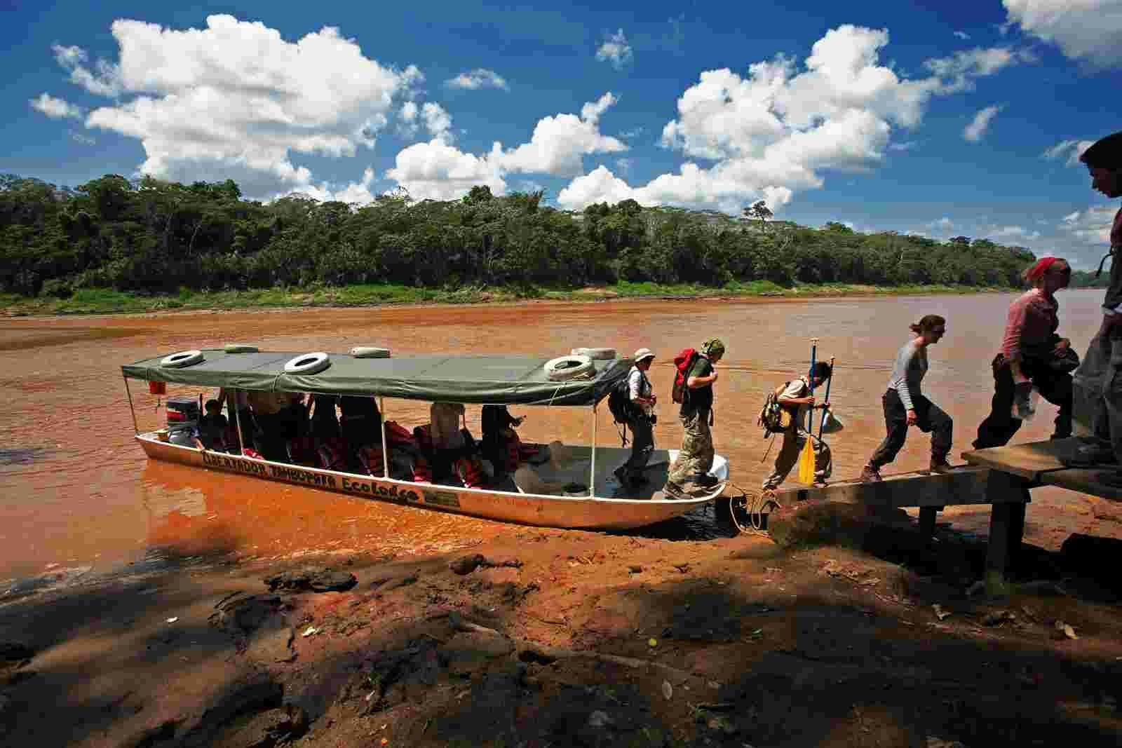 Pmal-04 : Macaw Magic: 3 Days at Tambopata s Clay Lick - imagen #9