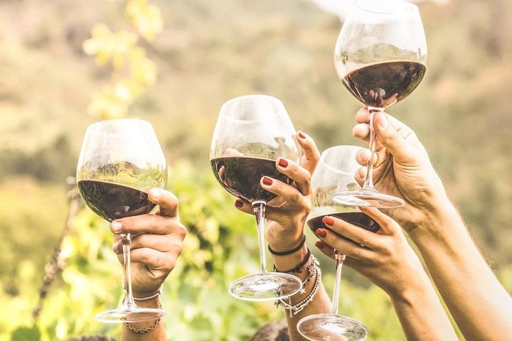 Half Day Trip to Undurraga Vineyard from Santiago - Wine Tasting Included - imagen #4