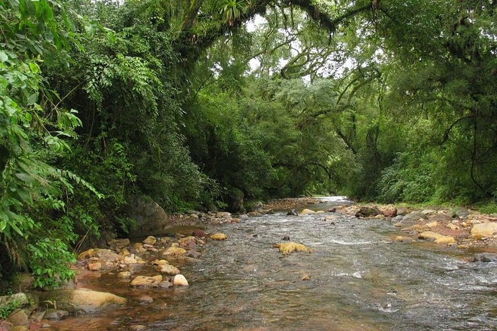 Yungas Half-Day Tour from Tucuman - imagen #6