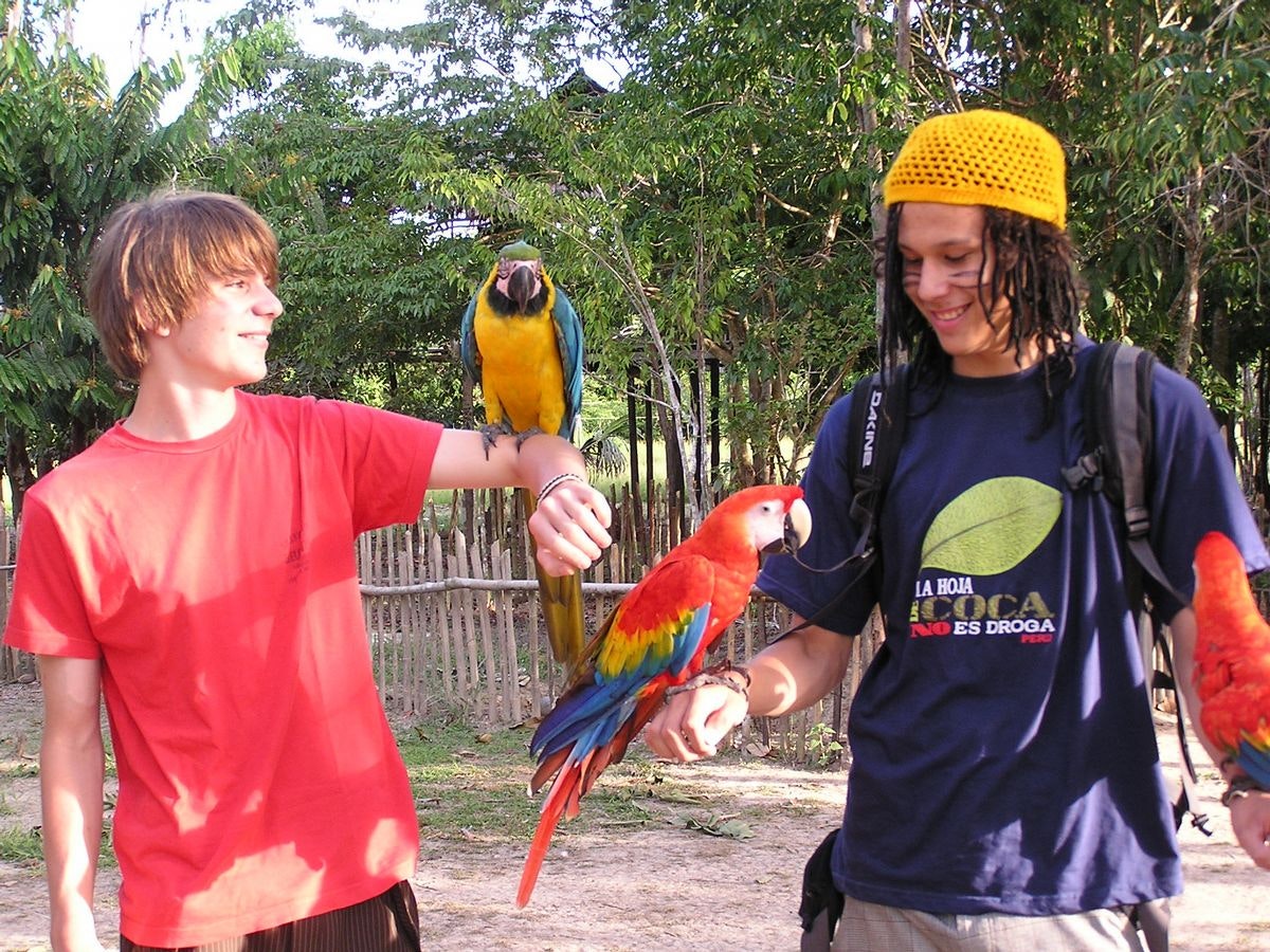 Iqu-03 : Rainforest Escape - 3 Days of Exploration - imagen #11