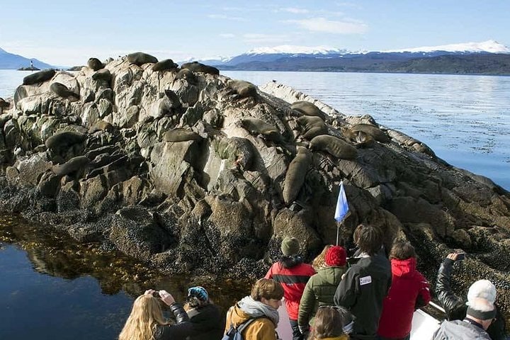 Beagle Channel and Sea Lions Island Catamaran Cruise - imagen #4