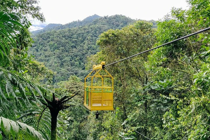 Excursión privada al bosque nuboso de Mindo desde Quito - imagen #6