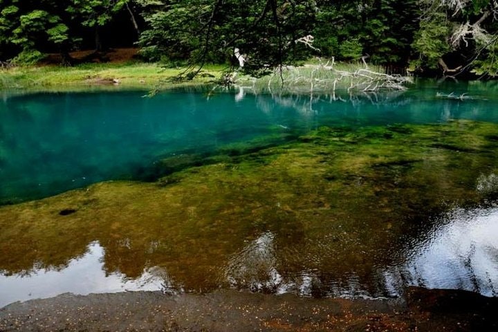 Tour privado por los lagos y cascadas del río Manso - imagen #6