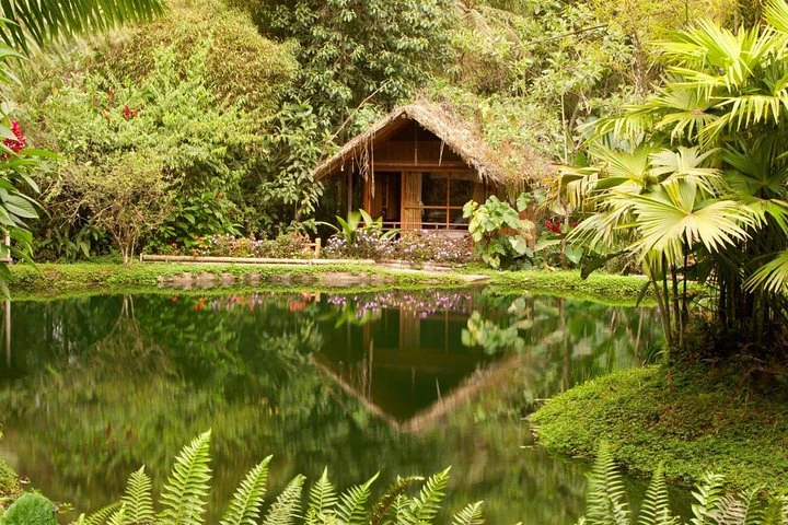 Excursión privada al bosque nuboso de Mindo desde Quito - imagen #4