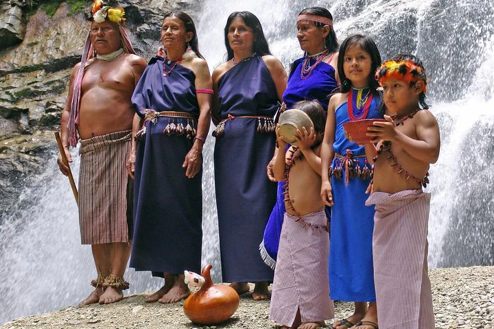 Tour por el Amazonas y el Yasuní: 5 días - 4 noches - imagen #10