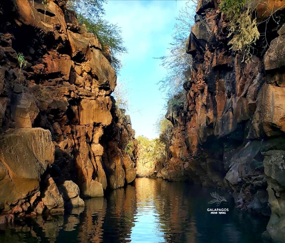 5 day / Sta. Cruz Highlands & C. Darwin RS, Bartolome, N. Seymour - imagen #27