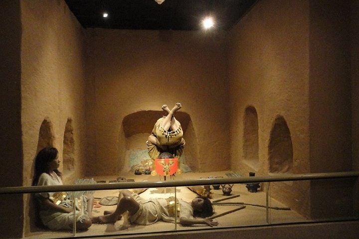 Santuario Histórico del Bosque de Pomac y Museo Sicán en Chiclayo - imagen #7