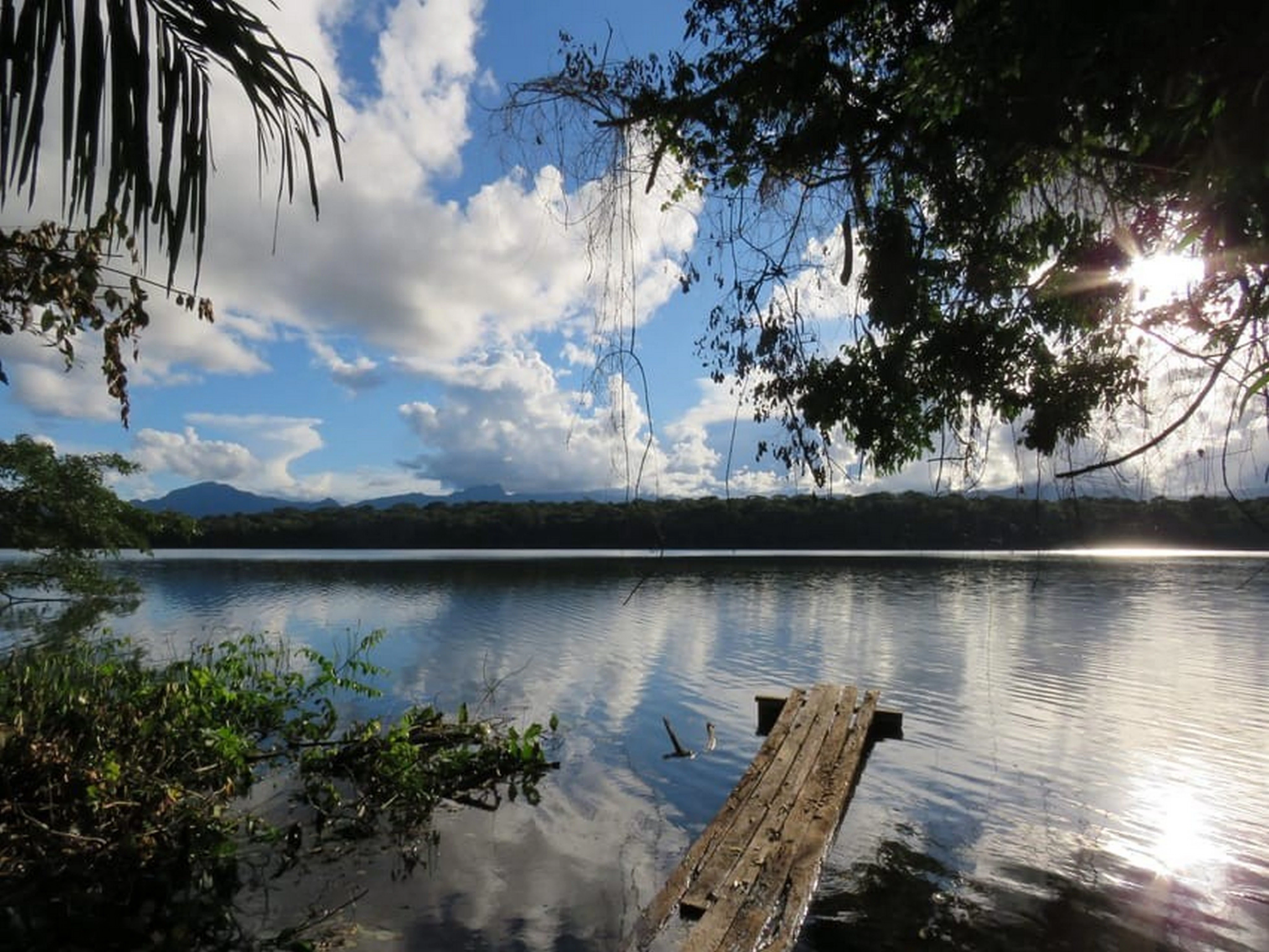 BO-RUR-04: Rurrenabaque | Selva y pampas, 5 días/4 noches: Descubriendo la naturaleza salvaje de la selva amazónica - imagen #2