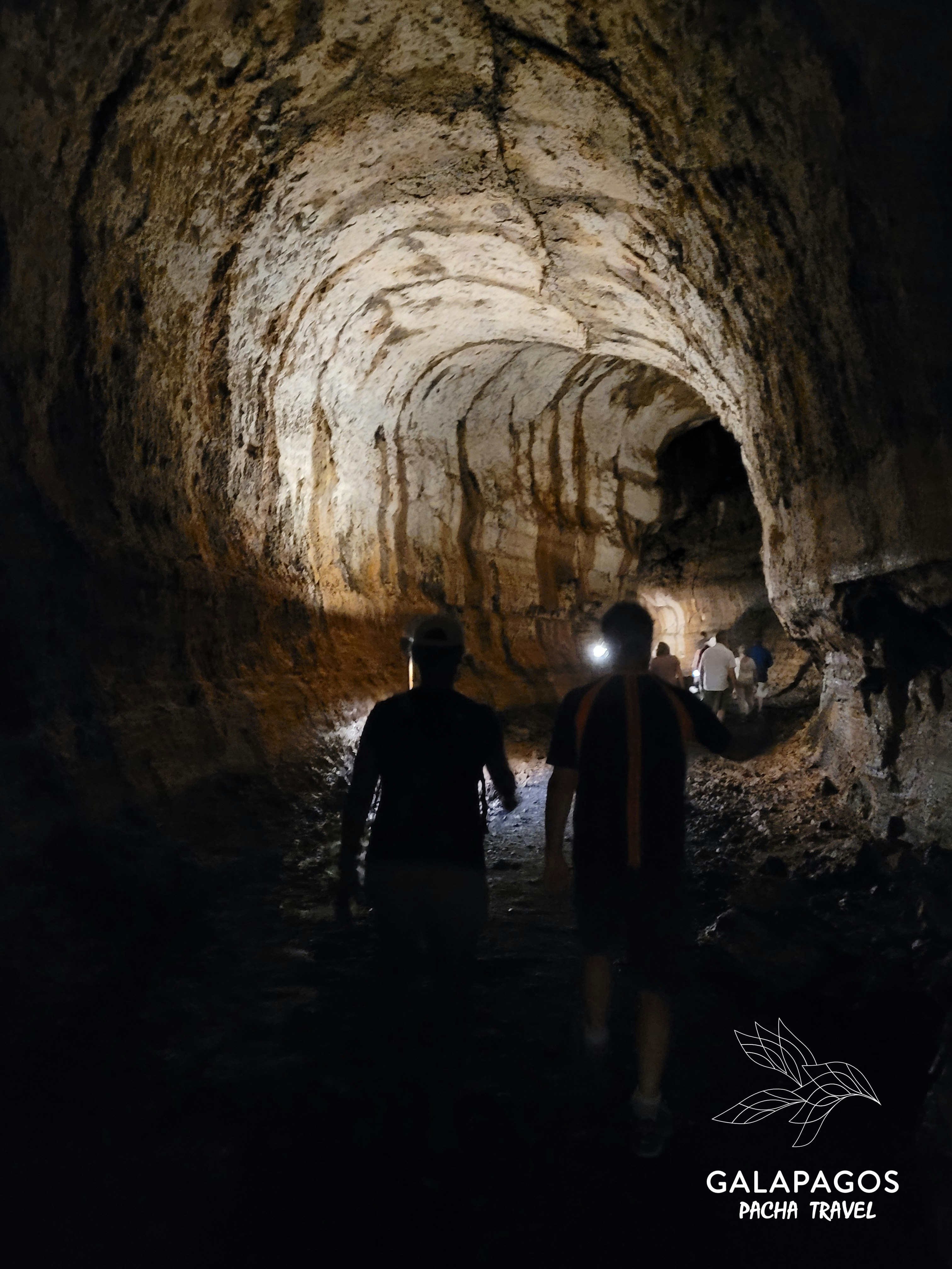 5 day / Sta. Cruz Highlands & C. Darwin RS, Bartolome, N. Seymour - imagen #19