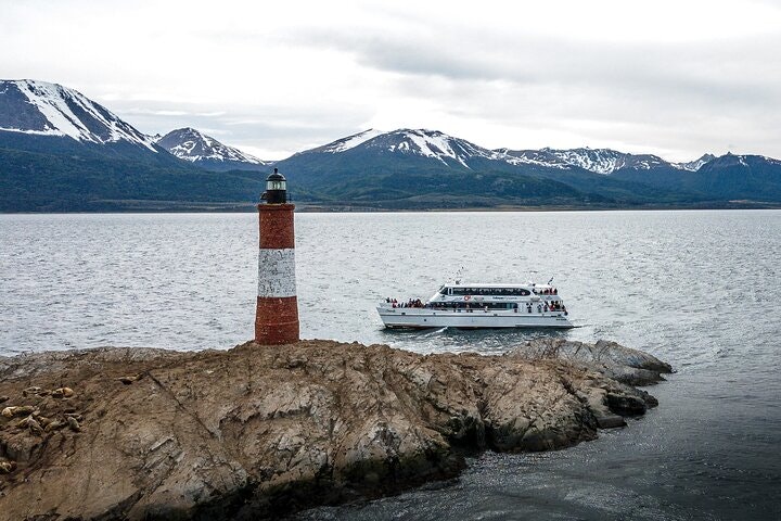 Martillo Island: Boat Trip to the Penguin Colony & Beagle Channel - imagen #14