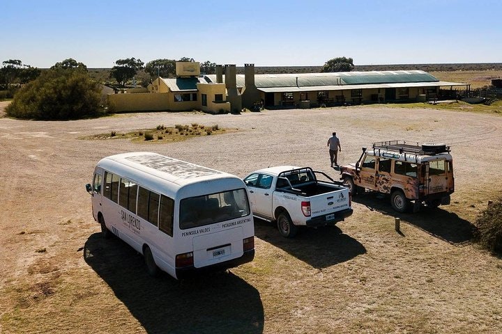 Estancia San Lorenzo: Home to the Largest Penguin Colony - imagen #6
