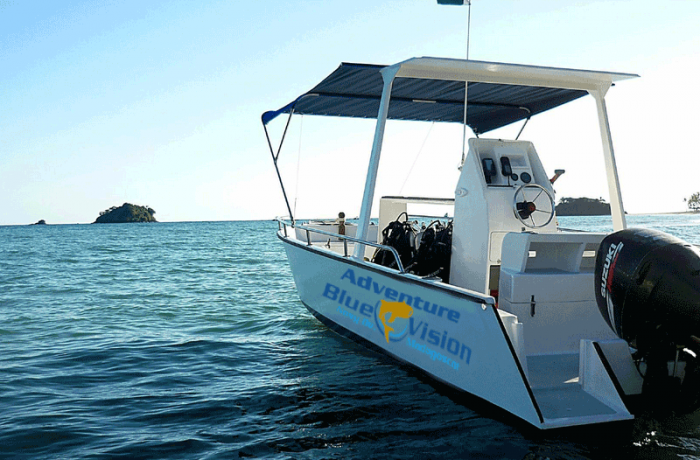 Par-06 : Scuba Diving in Paracas - Dive Discovery - imagen #3