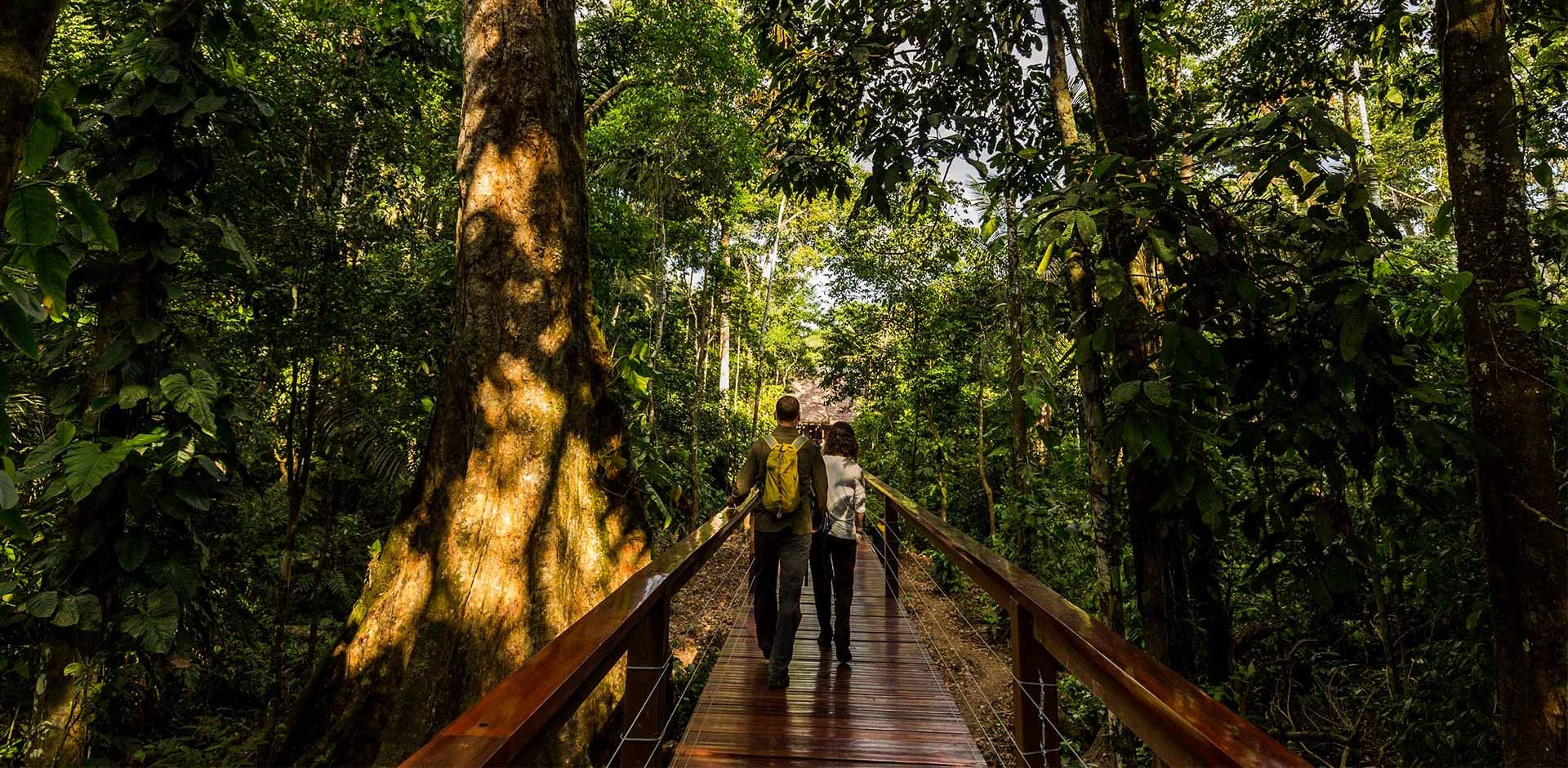 Iqu-06 : Pacaya Samiria Safari - 3 Days in Amazon National Reserve - imagen #10
