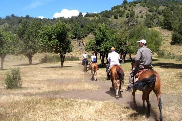Excursión a caballo: Parque Nacional de Lanín y cultura mapuche - imagen #6