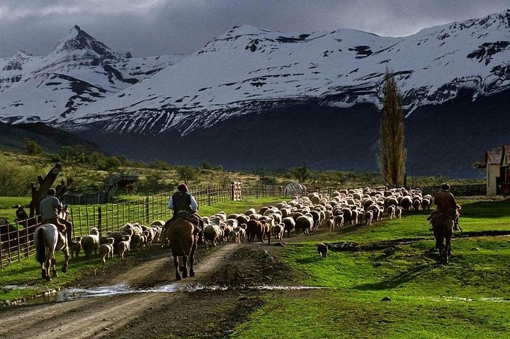 Pioneros Navigation and Trekking Tour from El Calafate - imagen #6