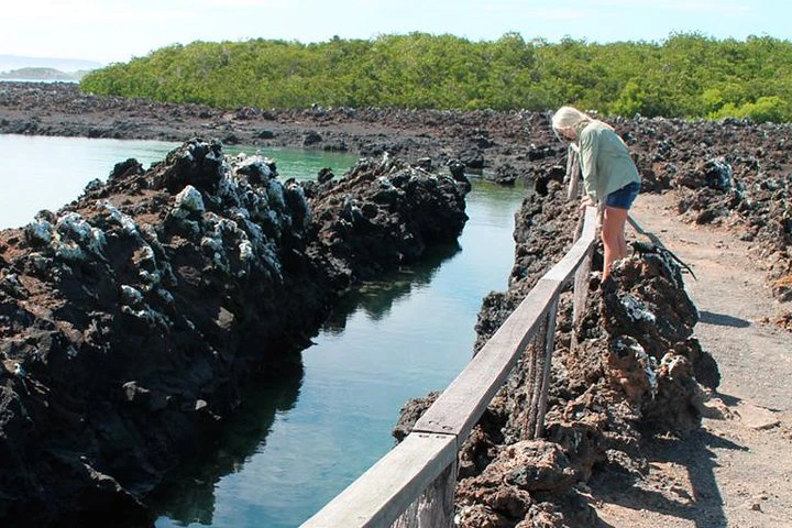 Circuito de 5 días por las Galápagos: islas de Santa Cruz e Isabela - imagen #7
