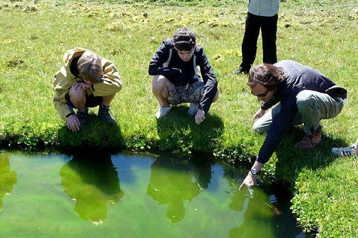 El Calafate Safari Experience - imagen #7