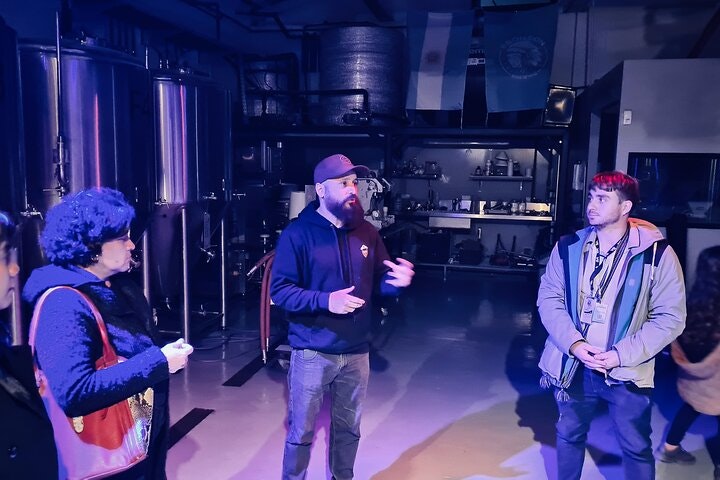 Best Craft Beer Tour Experience in Palermo, Buenos Aires - imagen #6