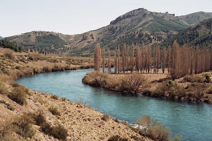 Flyfishing Or Spinning In The Limay River from Bariloche - imagen #7
