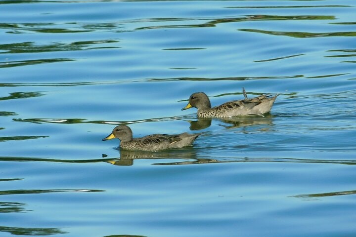 Discover nature at Buenos Aires city “The Palermo Woods” - imagen #7