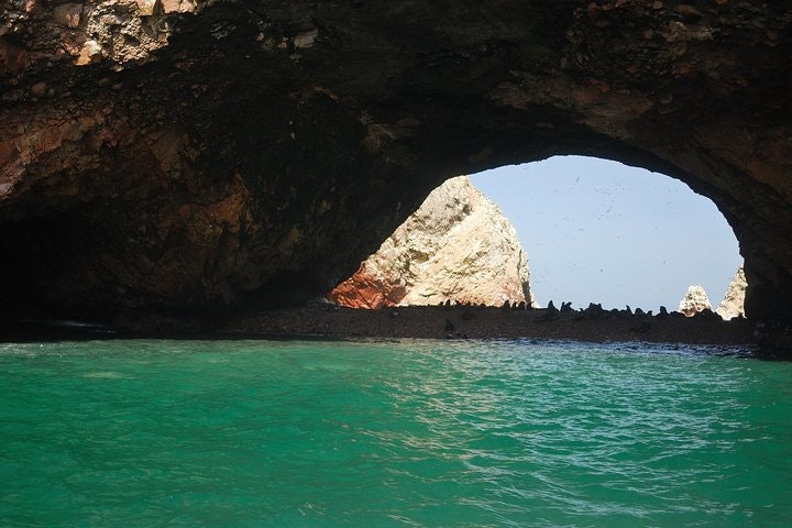 Nazca Lines & Ballestas Islands Private Full Day Tour from Lima - imagen #6