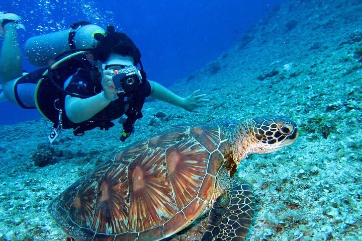 Discover the mystical Easter Island and its famous gigantic stone statues - imagen #7