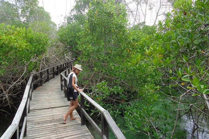Galápagos: Santa Cruz e Isabela. Excursiones de 6 días - imagen #3