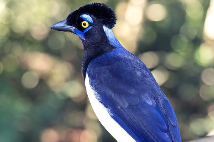 2-Day Iguazu Falls with Airfare from Buenos Aires - imagen #5