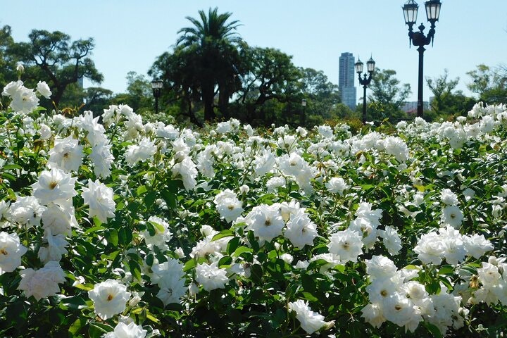 Discover nature at Buenos Aires city “The Palermo Woods” - imagen #4