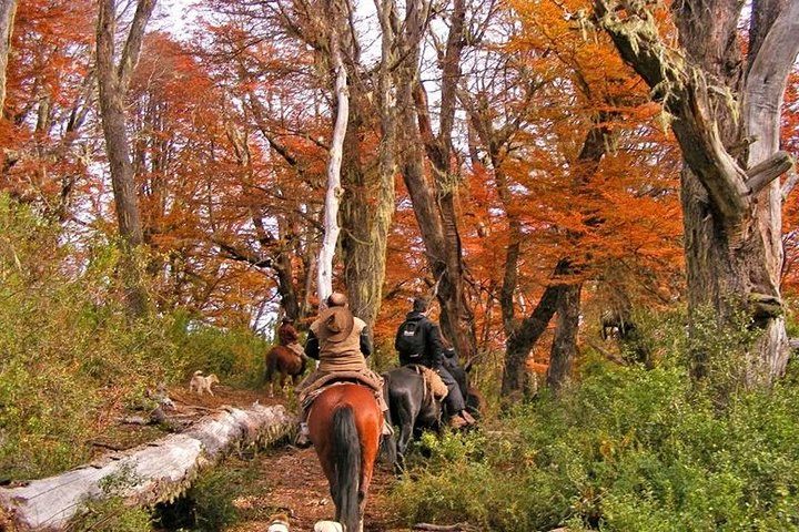 Excursión a caballo: Parque Nacional de Lanín y cultura mapuche - imagen #7