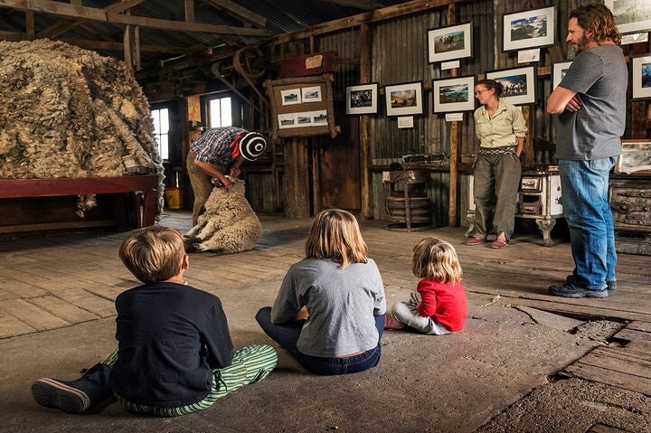 Nibepo Aike Ranch Day and Horseback Riding from el Calafate - imagen #21