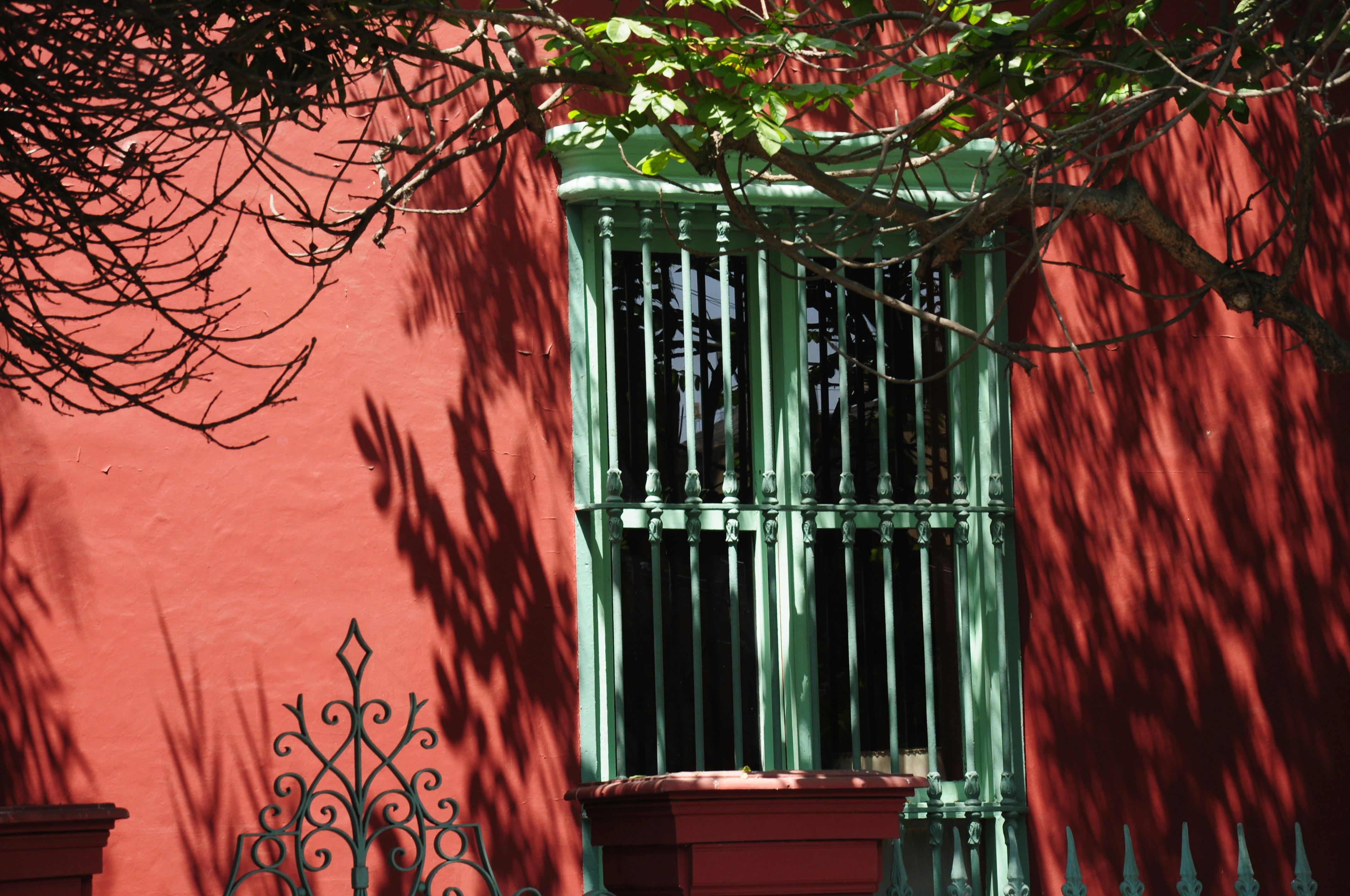 Traditional Culinary & Gastronomy Roots of Lima - imagen #14