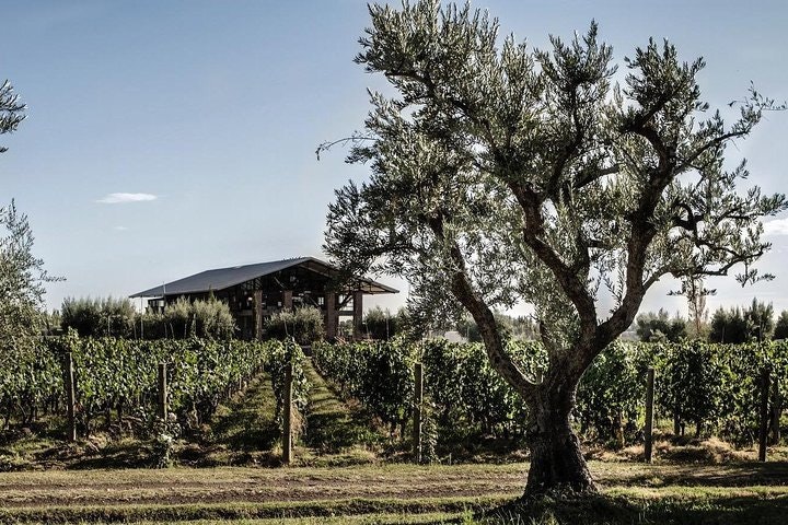 4-Day Trip to Mendoza by Air from Buenos Aires - imagen #9