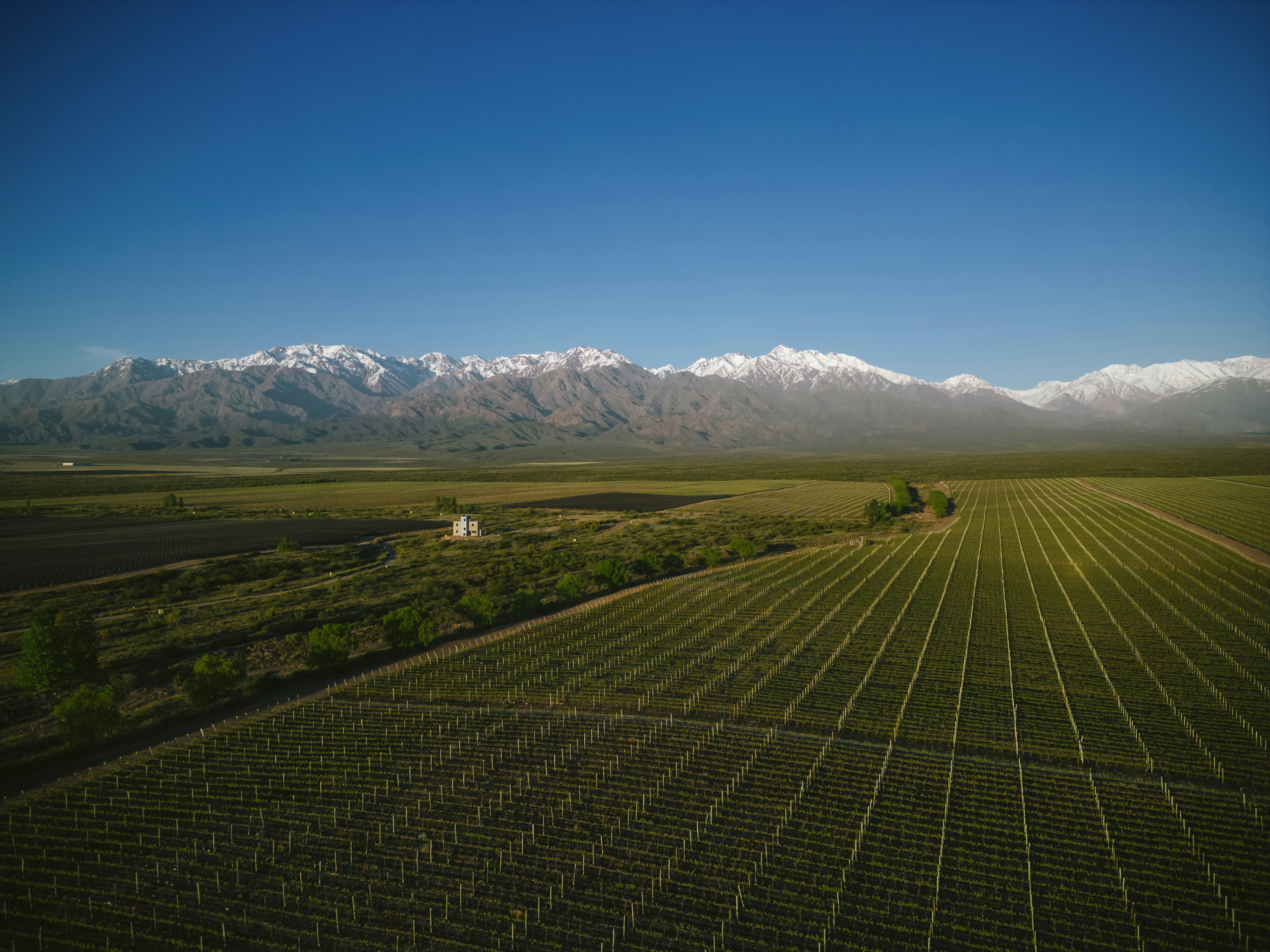 3-Day Mendoza Enchanted Vine Retreat With Optional Airfare - imagen #11
