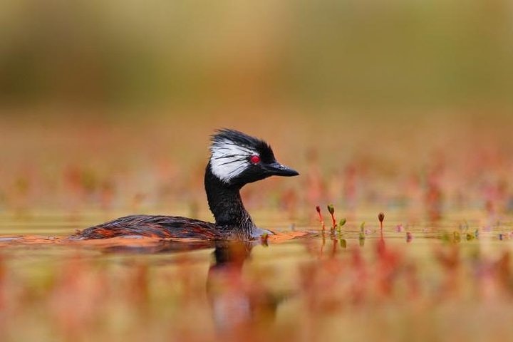 Full-Day Tour to Laguna de los Pozuelos from Tilcara - imagen #4