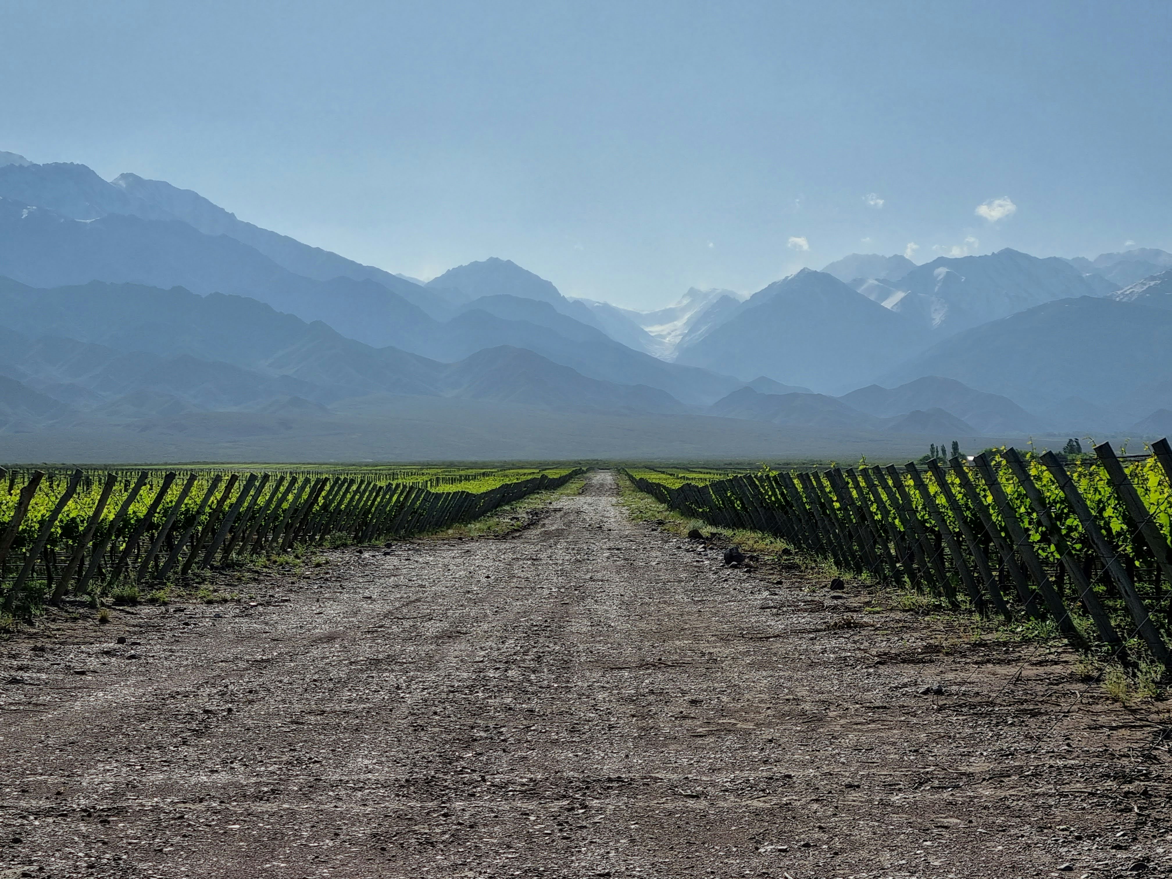 3-Day Mendoza Enchanted Vine Retreat With Optional Airfare - imagen #5