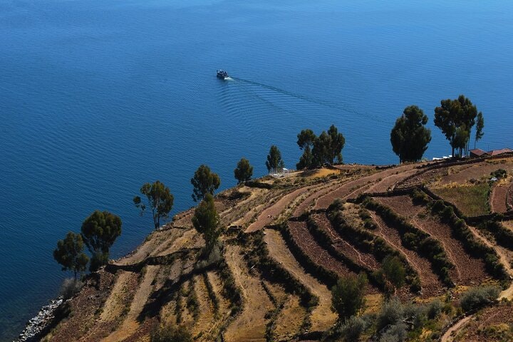 Titicaca Lake, Uros Floating Islands & Taquile Community Island Full-Day Tour from Puno - imagen #4
