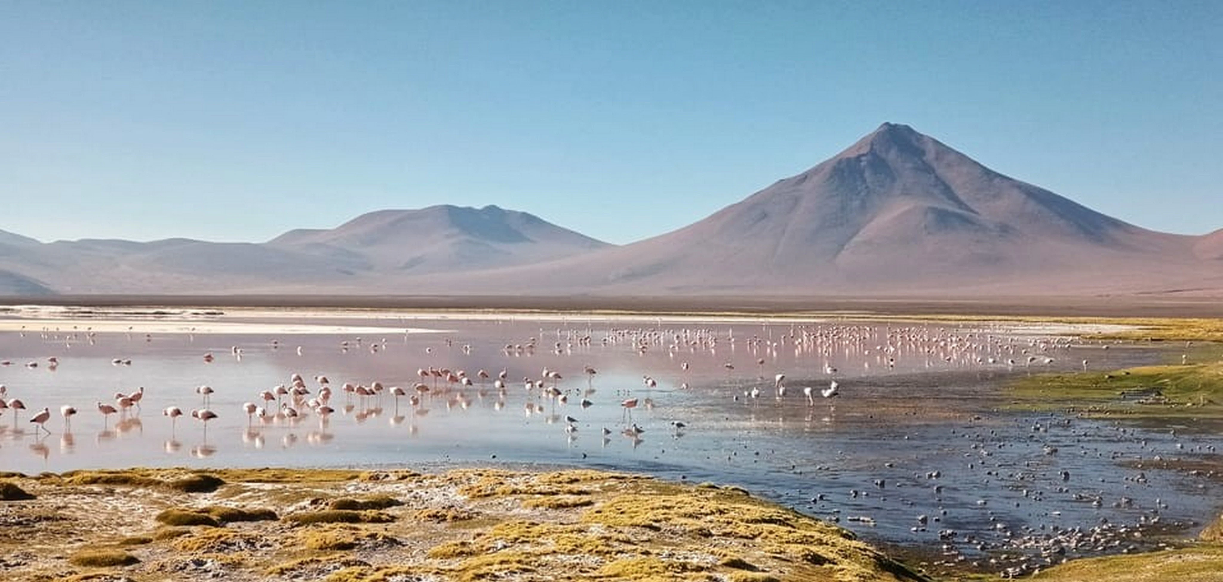 BO-UYU-02: Uyuni | Salar de Uyuni, 2 días/1 noche – Un viaje que nunca olvidarás - imagen #22
