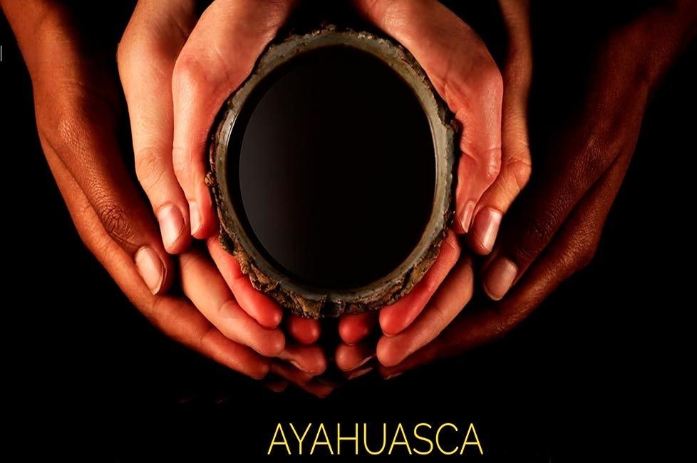 Cus-24 : Ayahuasca Discover - 1 Day of Self-Discovery - imagen #2