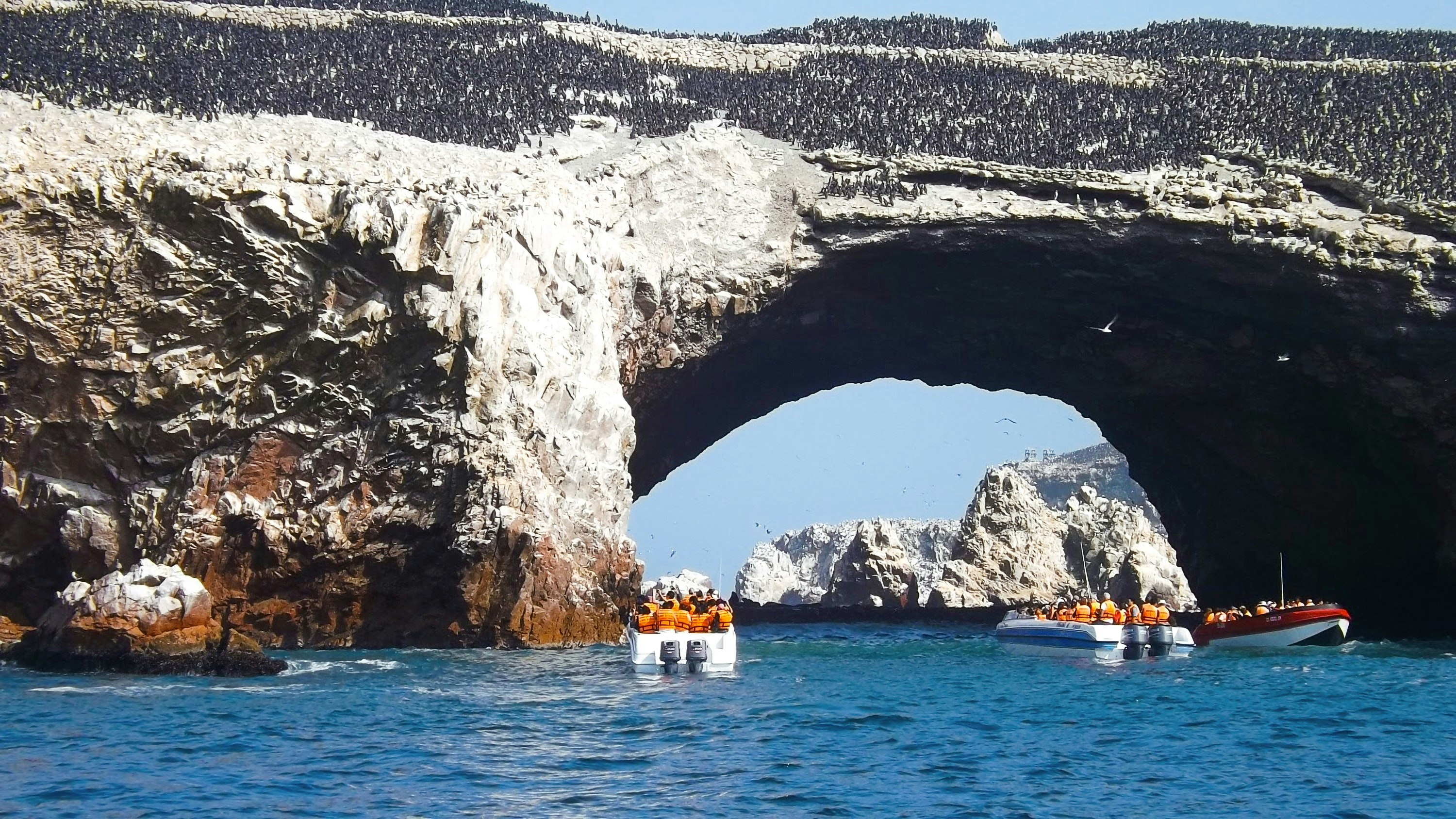 Par-01 : Islas Ballestas Boat Tour - The Galapagos of Peru - imagen #2