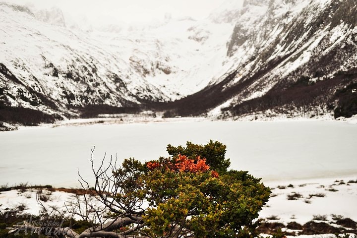 Emerald Lagoon Trekking from Ushuaia - imagen #2