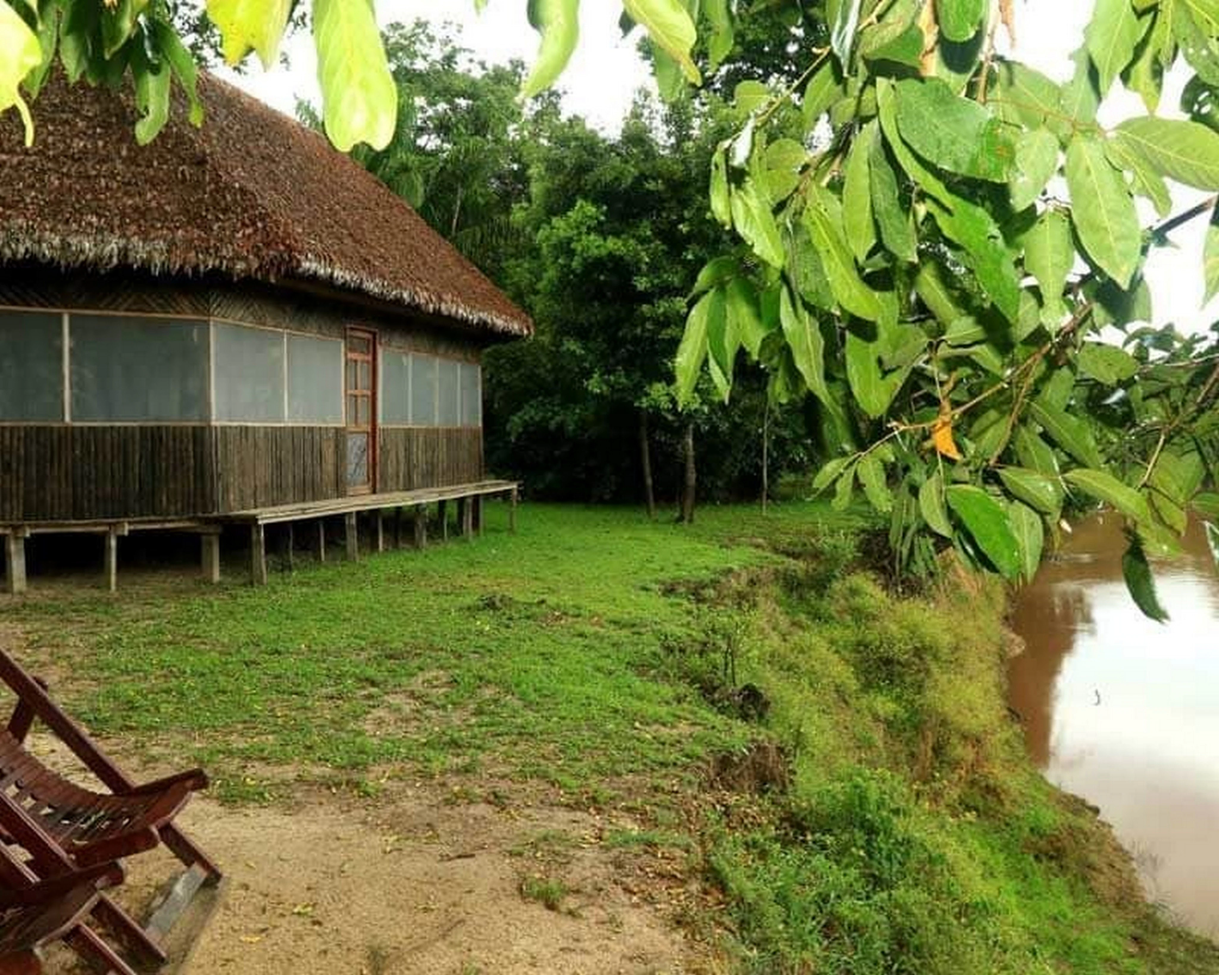 BO-RUR-04: Rurrenabaque | Selva y pampas, 5 días/4 noches: Descubriendo la naturaleza salvaje de la selva amazónica - imagen #24