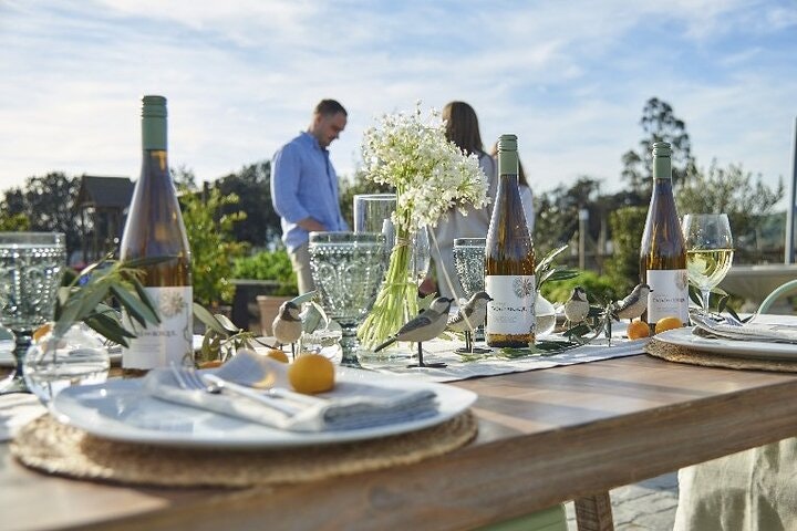 Casas del Bosque Vineyard with Lunch Menu included from Santiago - imagen #2