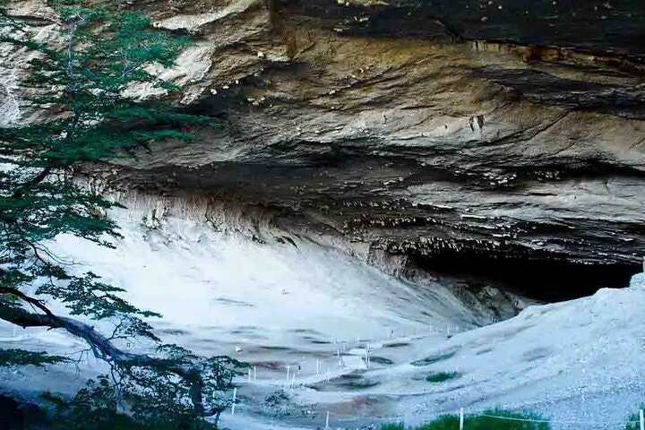 Full Day Patagonia Tour from Puerto Natales - imagen #4